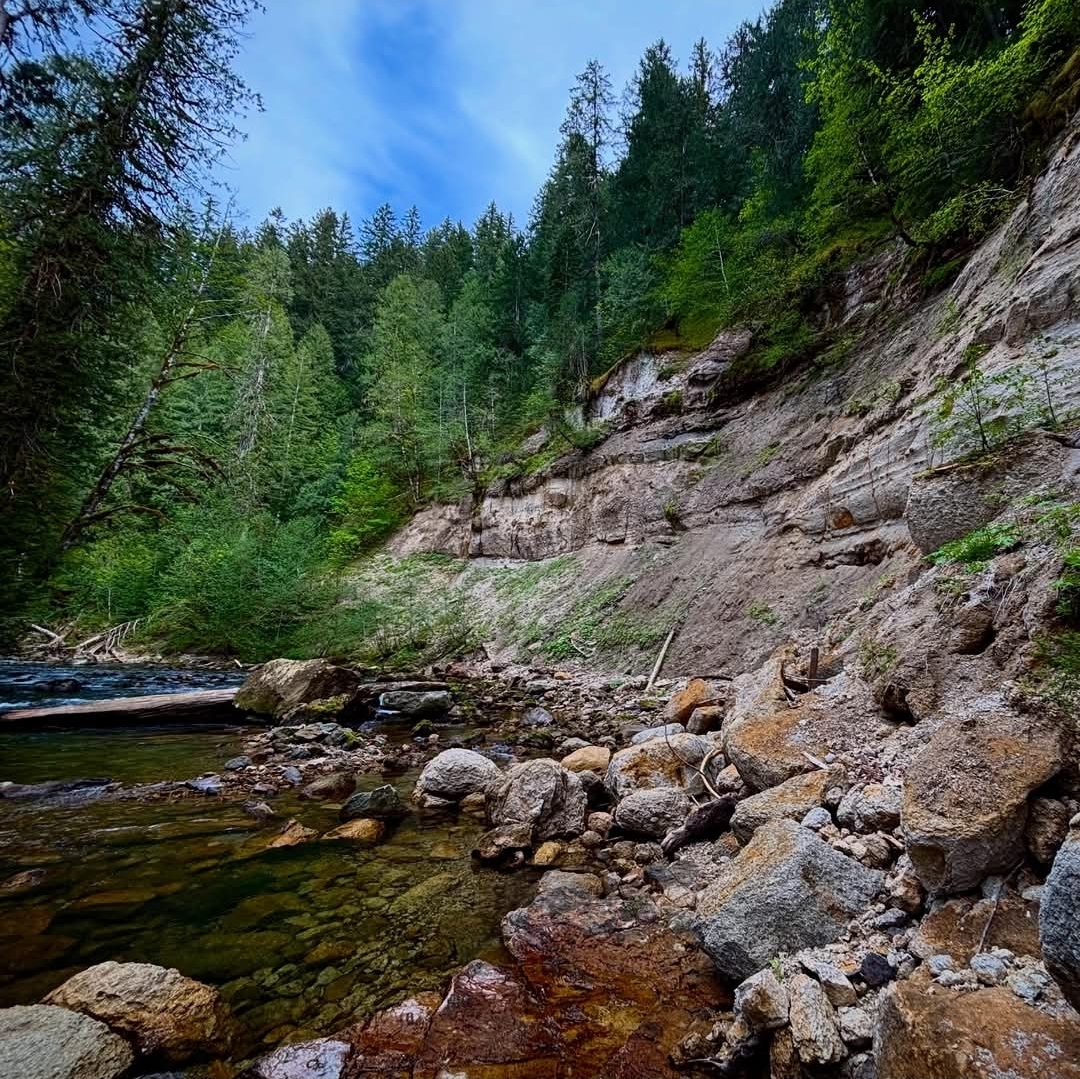 A forested river canyon and exposed rock face